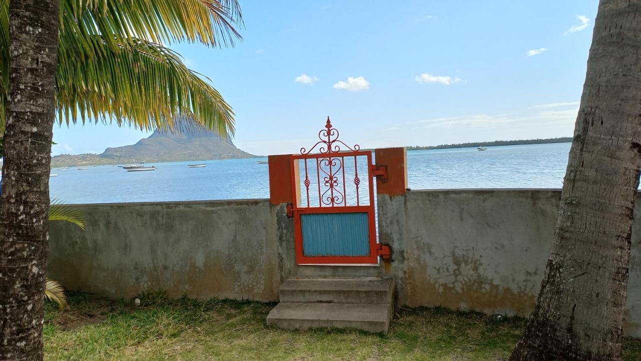 Seaview Studio - La Gaulette Ngoại thất bức ảnh